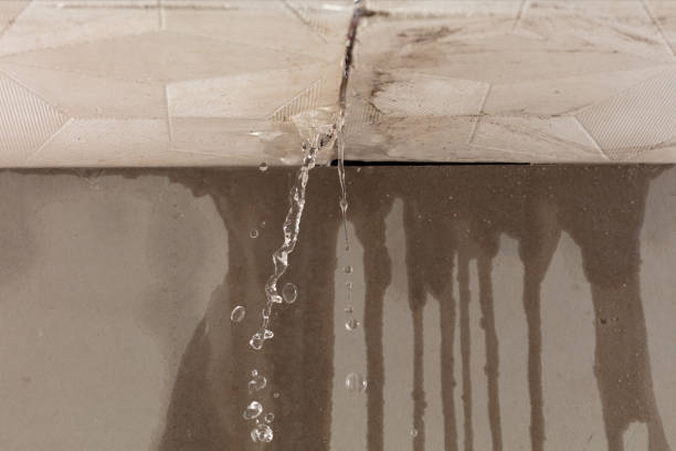 Professional Structural Drying technician working in Baltic, OH